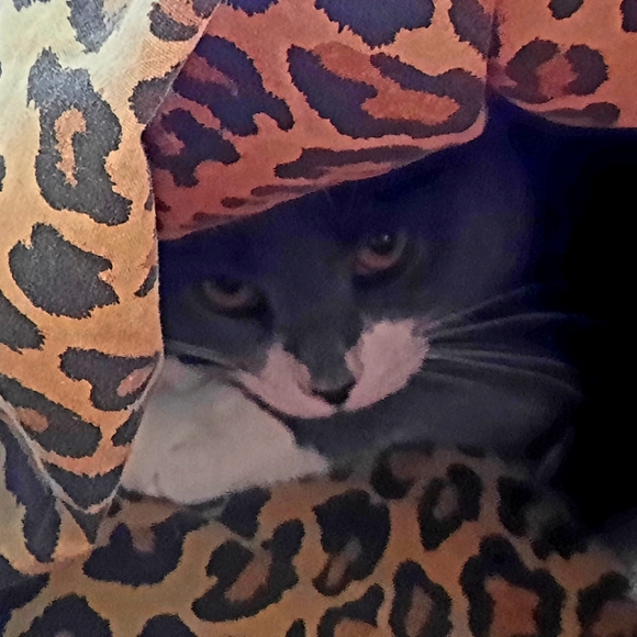 Don't be Shy! Make an Offer! - Picture 1 of 1